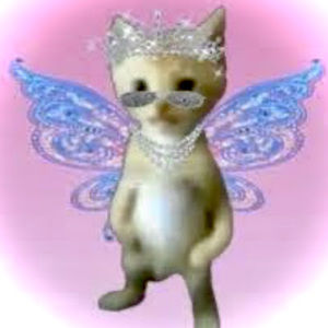 Meet your Posher, Kk's couch potato